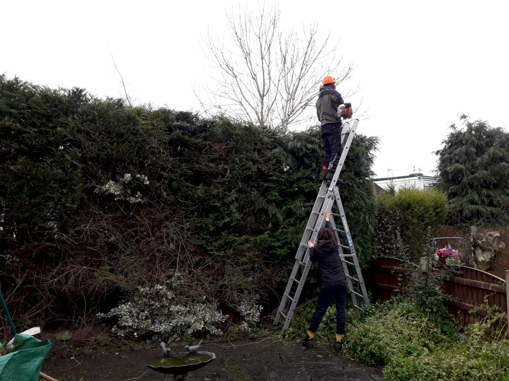 Hedge Trimming Westhoughton