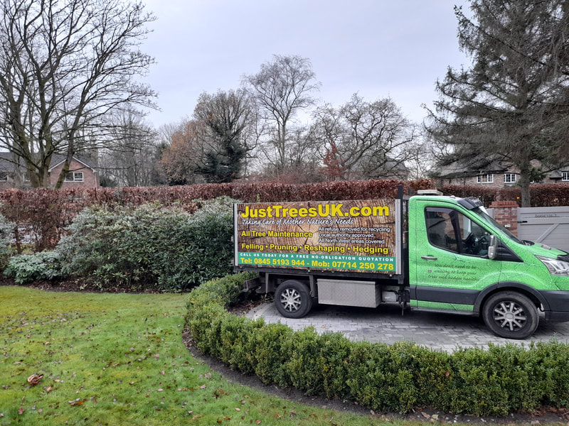 Hedge Trimming in Hale Barns, Cheshire 