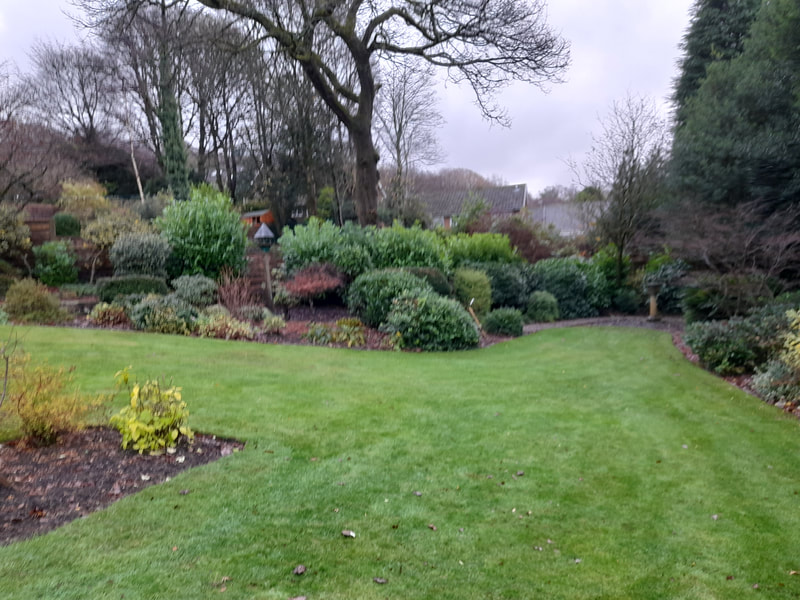 Multiple Hedge Trimming in Egerton, Bolton