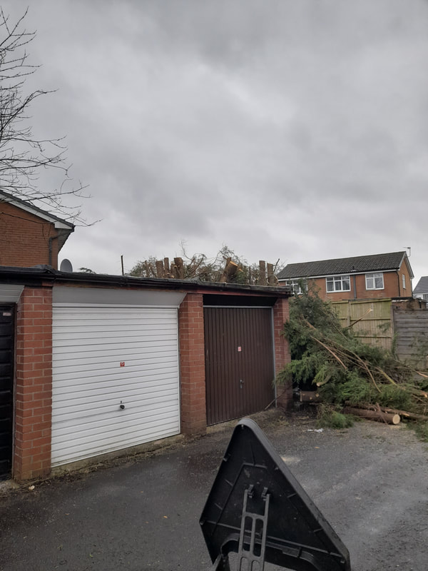 Storm Damaged Conifer Tree Removed in Bolton