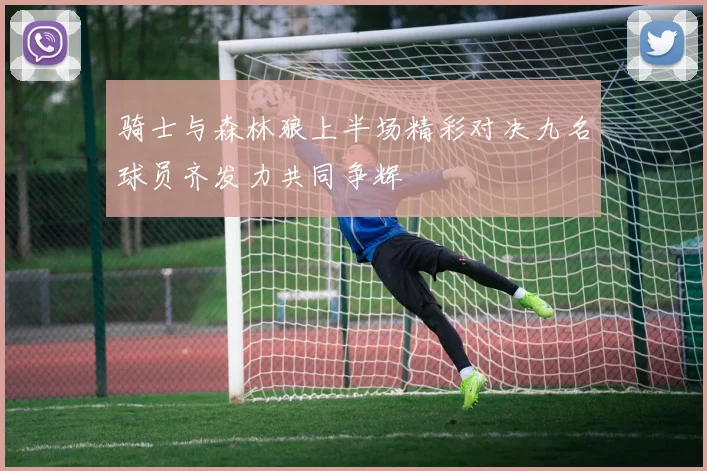 骑士与森林狼上半场精彩对决九名球员齐发力共同争辉