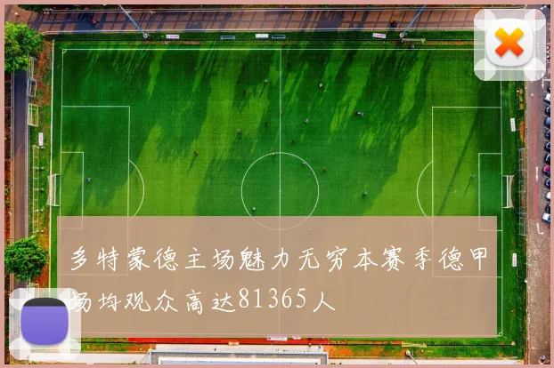 多特蒙德主场魅力无穷本赛季德甲场均观众高达81365人
