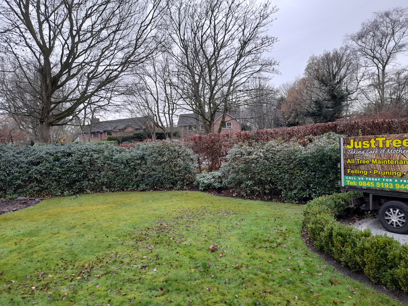 Hedge Care in Hale Barns, Cheshire 