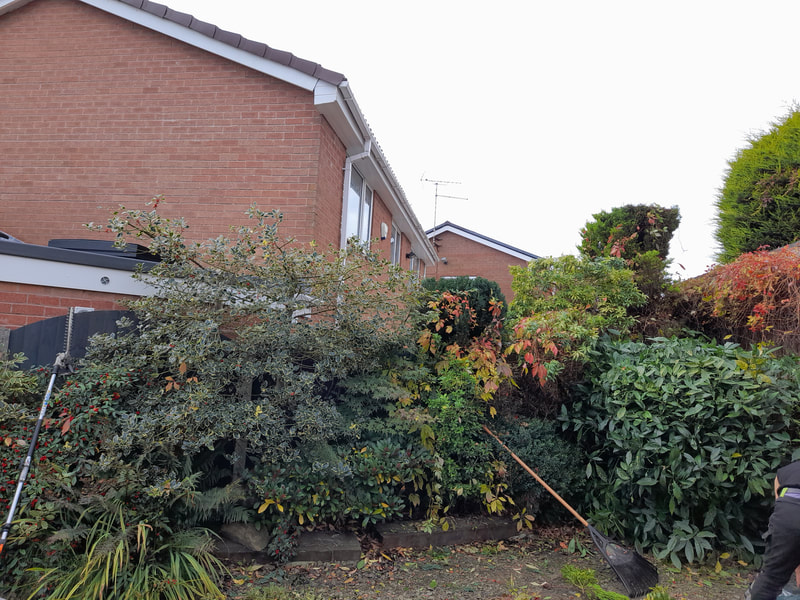Hedge Thinning in Sharples, Bolton