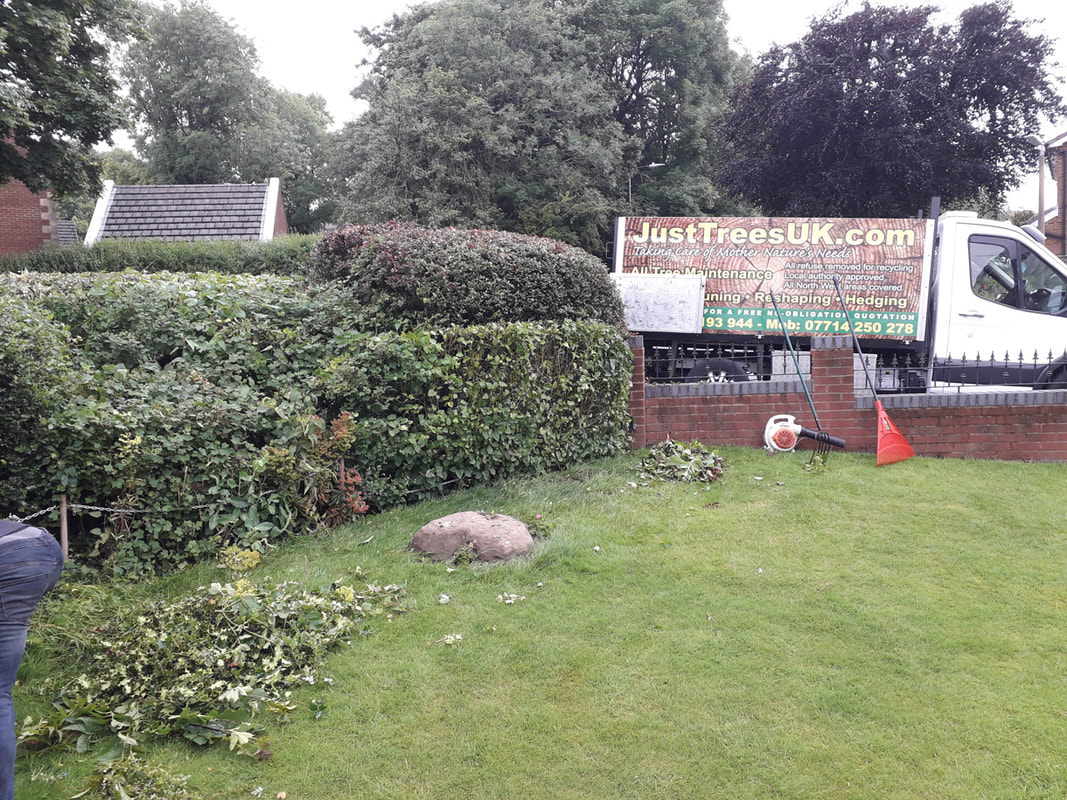 hedge trimming Bolton