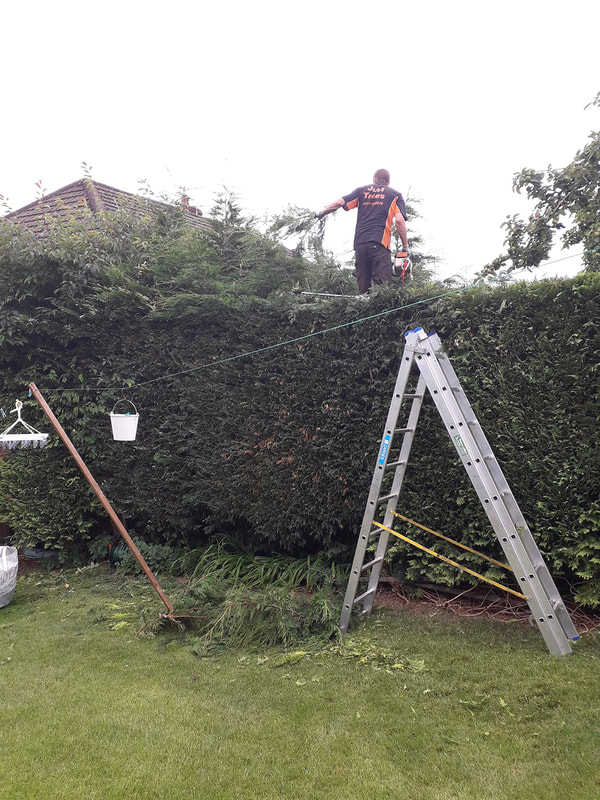 Hedges Trimmed in Bolton