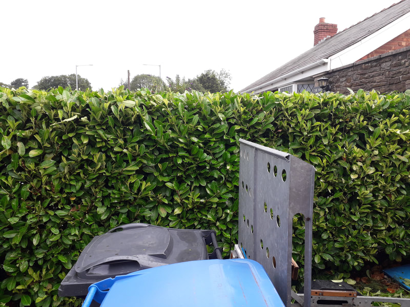Mixed Hedge Reduction in Leyland