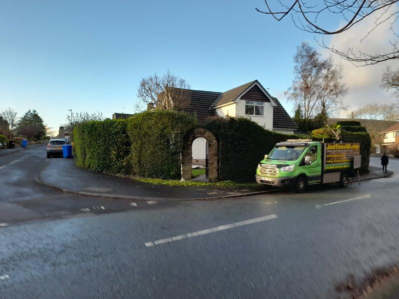 Mixed Hedges Annual Trim in Atherton, Bolton