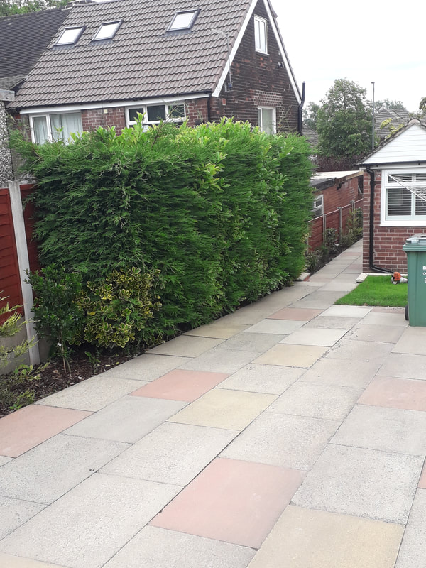 Small Hedge Trimmed in Westhoughton, Bolton